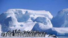 Антарктическата ни база е открита за новия полярен сезон