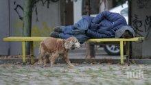 Прибират бездомниците от софийските улици
