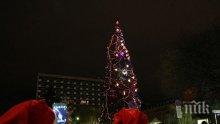 Палят светлините на Коледната елха в София