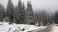 Минусови са температурите по високите части в Родопите, времето не е подходящо за туризъм

