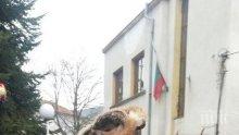 Обичаят "Сурва" получава сертификат на ЮНЕСКО на 29 януари