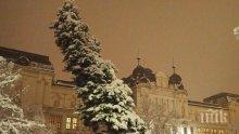 ХАОС! Снегът блокира София, пътищата са затрупани 