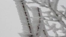 18 сигнала за паднали дървета и клони са получени от началото на снеговалежа в Шумен