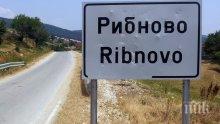 150 бели бора са били отсечени незаконно край Рибново