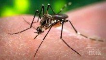 Южна Африка потвърди първия случай на заразяване с вируса зика