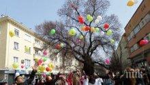 Разноцветни балони полетяха над Сливен за Световния ден на редките болести