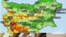 Паника! Пет български града са застрашени от коварния вирус Зика! Вижте къде опасността е най-голяма