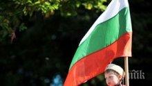 Свищов ще подари 500 български флагчета

