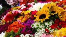 Кюстендилци масово купуват цветя за Деня на жената