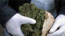 Конфискуваха марихуана от наркодилър в Тръстеник
