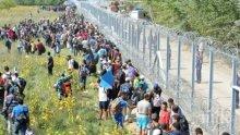 Ненчев: Ако се наложи, правим ограда и по гръцката граница