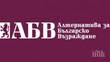 АБВ искат закон за автомобилното хулиганство
