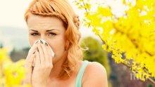 Замърсеният въздух в големите градове влияе на пролетните алергии
