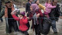 Австрия: Затягаме контрола, бежанците идват от България, Румъния и Унгария