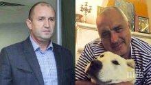 САМО В ПИК И "РЕТРО"! Президентът Румен Радев: По-сам съм от овчарката на Бойко Борисов в Банкя!