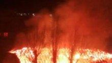 Горски пожар бушува край Тетевен