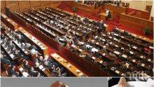 Криза в парламента! Кой ще ни кове законите - юристите на изчезване в 44-ото Народно събрание, зайците повече от опитните депутати