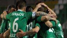 Берое стяга здрава селекция