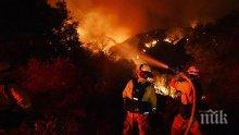 ИЗВЪНРЕДНО! 250 души се борят с големия пожар в Стара Кресна