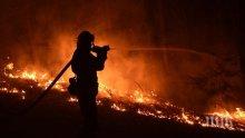 Португалия поиска помощ от Европа за потушаването на горските пожари