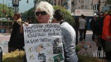 Вегани протестират пред Министерски съвет, искат оставката на Румен Порожанов
