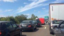 Европа отбелязва Ден без жертви на пътя