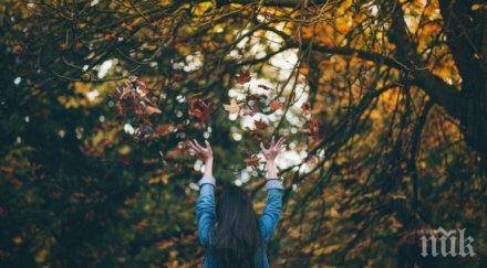 ВНИМАНИЕ! Лятото продължава с 33 градуса до сряда, после вадете якетата!