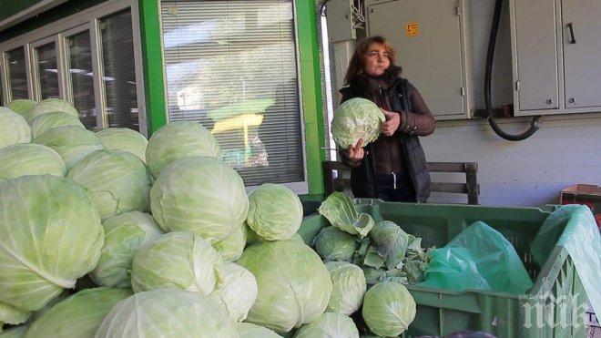 ГОРЕЩА ТЕМА: Ще убият ли ниските цени българското зеле?