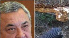 ПЪРВО В ПИК! Валери Симеонов разби филма на Елена Йончева: Скука, озлобление, пропаганда в стил „Работническо дело“! Напънала се планината и родила мишка