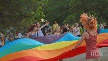 ШОК! Учени със скандално твърдение: Хетеросексуални хора не съществуват