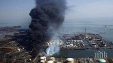 Япония отбелязва седем години от аварията в АЕЦ "Фукушима"
