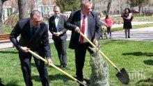 Горски директори от цяла Европа ще садят дръвчета в Рила
