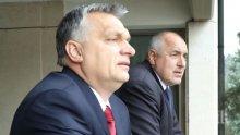 ПЪРВО В ПИК! Бойко Борисов поздрави Орбан за безапелационната победа на изборите