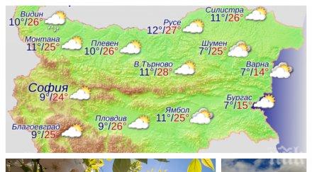 ПРОЛЕТНА ПРИКАЗКА! Слънчево време, малко облаци и слаб вятър в средата на седмицата