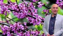 Емо Чолаков с ранни синоптични прозрения: Петъчната идилия ще ви поразхлади, ще вали и сняг