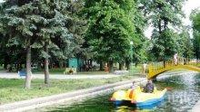 КЕФ! В Пазарджик карат безплатни велорикши и водни колела