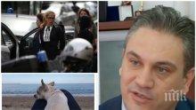 ЕКСКЛУЗИВНО! Закованата с подкуп кметица обичала да се глези в чужбина! Иванчева отскачала за лукс почивки, когато й скимне