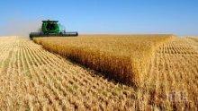 РАЗПРОДАЖБА! Русия вади за износ 500 хиляди тона зърно