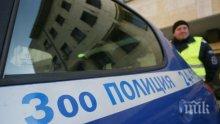 Зоополицията в Пазарджик се отчете - трима мъчители на животни отишли на съд