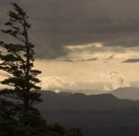 Времето: Днес ще бъде студено със силен вятър