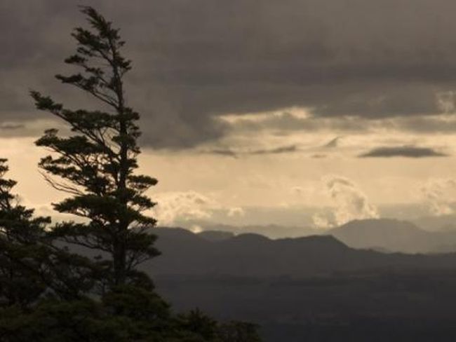 Времето: Днес ще бъде студено със силен вятър