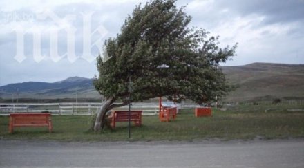 жълт код области страната заради силен вятър