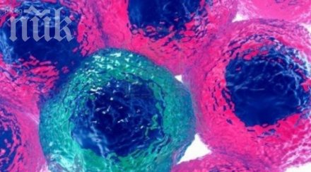 откриха извънземен вирус