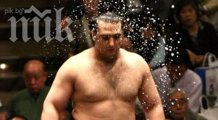 котоошу пребори аоияма българското дерби токио