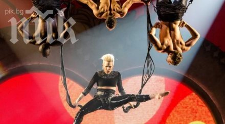 пинк отличена жена годината 2013