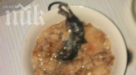 нечуван скандал сервираха умряла мишка дете пловдивската инфекциозна клиника