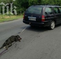 Пуснаха на свобода мъжа, влачил куче с колата си