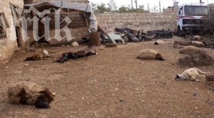 седем загинаха експлозия сирийско турската граница