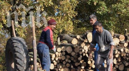роми пребиха горски надзиратели самоков