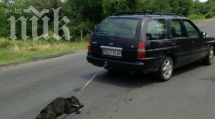 извергът влачил кучето отърва условна присъда